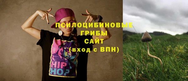 герыч Алексин
