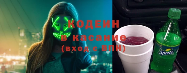 PSILOCYBIN Ельня