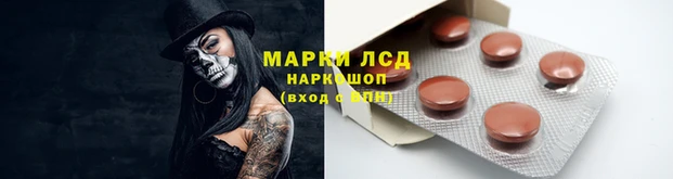 гашик Козловка