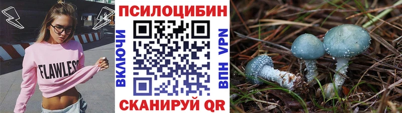 даркнет официальный сайт  Кяхта  Галлюциногенные грибы Psilocybe 